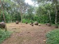 finca-6-esferas-exhibicion
