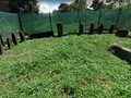 Museo Finca - 6