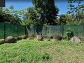 Museo Finca 6