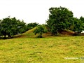 cerritos-de-indios-09