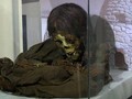 mummy  Saphi