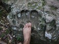 Parque Nacional Ybycu? - Dpto.de Paraguar?