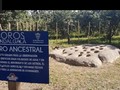 360547-3-6389