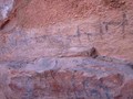 inca-cueva-pinturas-rupestres-