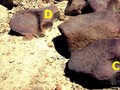 96005946873