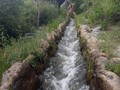 7894506809