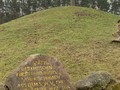23984952