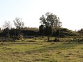 8079040000