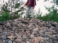 8765790048