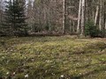 745070934