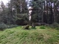 555312053163