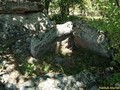 763493443