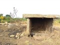 243924830845
