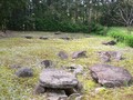 7825907237553