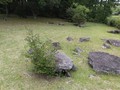 47663094564