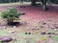 8803480934
