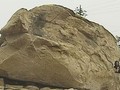 7987436734