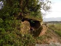 2523977405