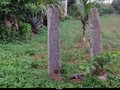 786070579854