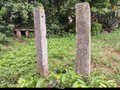 6660346-534783