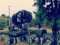 7009653