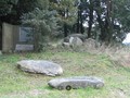 98459356143