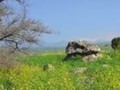 Shamir-Dolmens