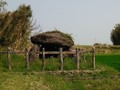 907068903841