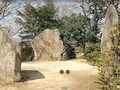 579845902