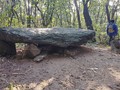 4509874452