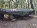 909887811-9909031