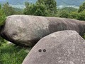 7659863903