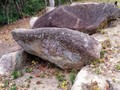 5890445033