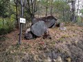 525020991291