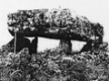 Daishishan Stone Shed Tomb ??????