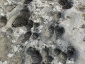 859389472
