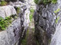 6421