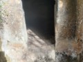1038653-273398493