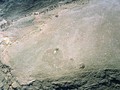 49402928