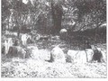 standing stones in north-west Cameroon