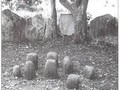 standing stones in north-west Cameroon_