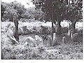 standing stones north-west Cameroon