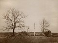 1925