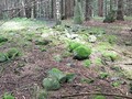 8994309892