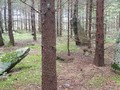 34589203892