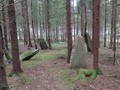 346327431