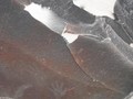 Aboriginal-rock-art