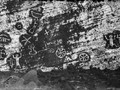 Rock drawings that pre-date the Bounty’s mutineers arrival on Pitcairn Island