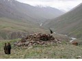 ruined structure in Chap Dara