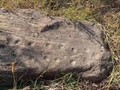 34598934802